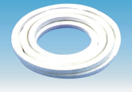 PTFE Packing