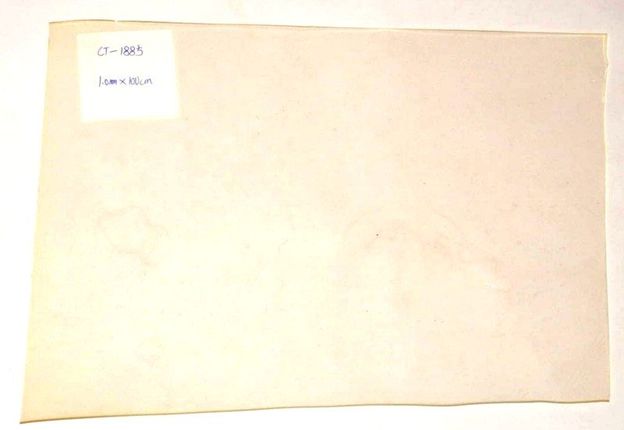 PU Foil-Transparence